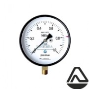 Манометр ДМ02(05) (0-1,0 МПа) Дк100 G1/2" радиальный 