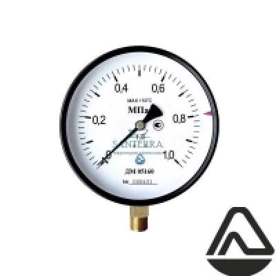 Манометр ДМ02(05) (0-1,0 МПа) Дк100 G1/2" радиальный Манометр ДМ02(05) (0-1,0 МПа) Дк100 G1/2" радиальный